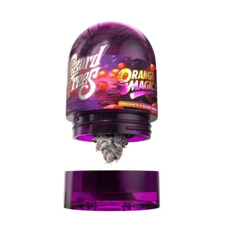 Orange Magic